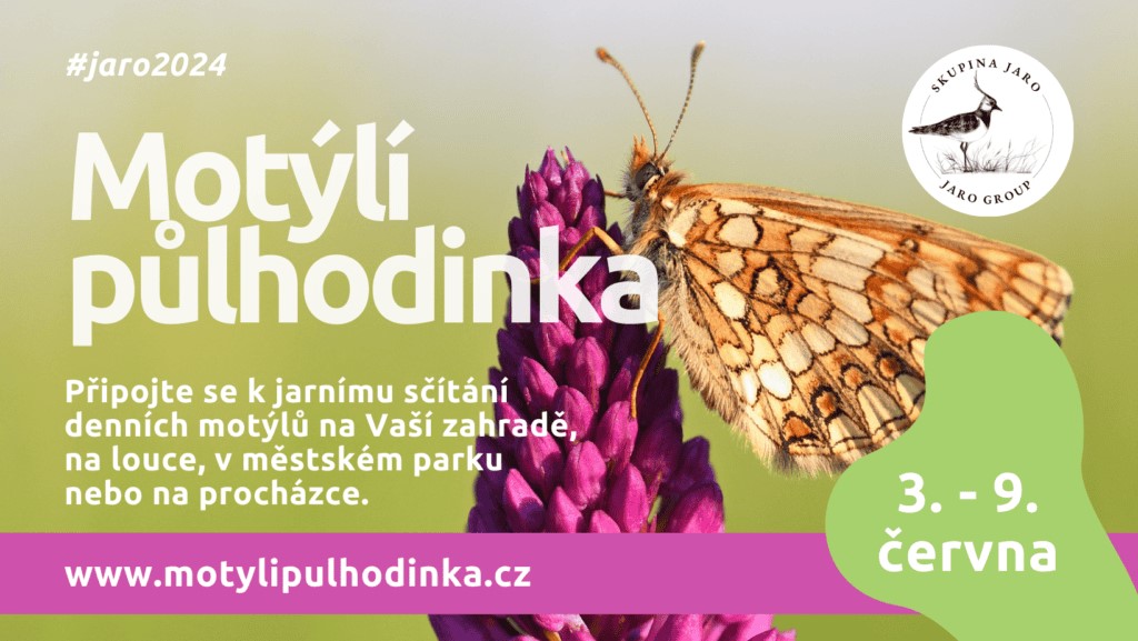 Připojte se k pozorování motýlů Připojte se k pozorování motýlů