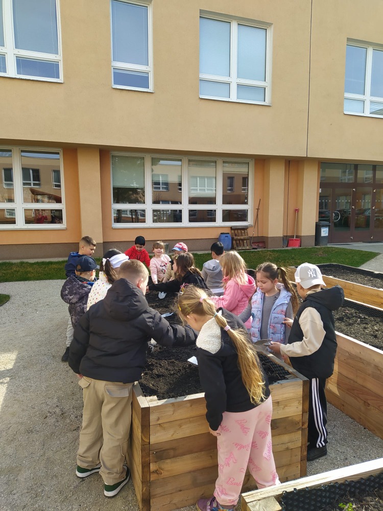 Jaro v atriu školy a prvňáčci už sázejí
