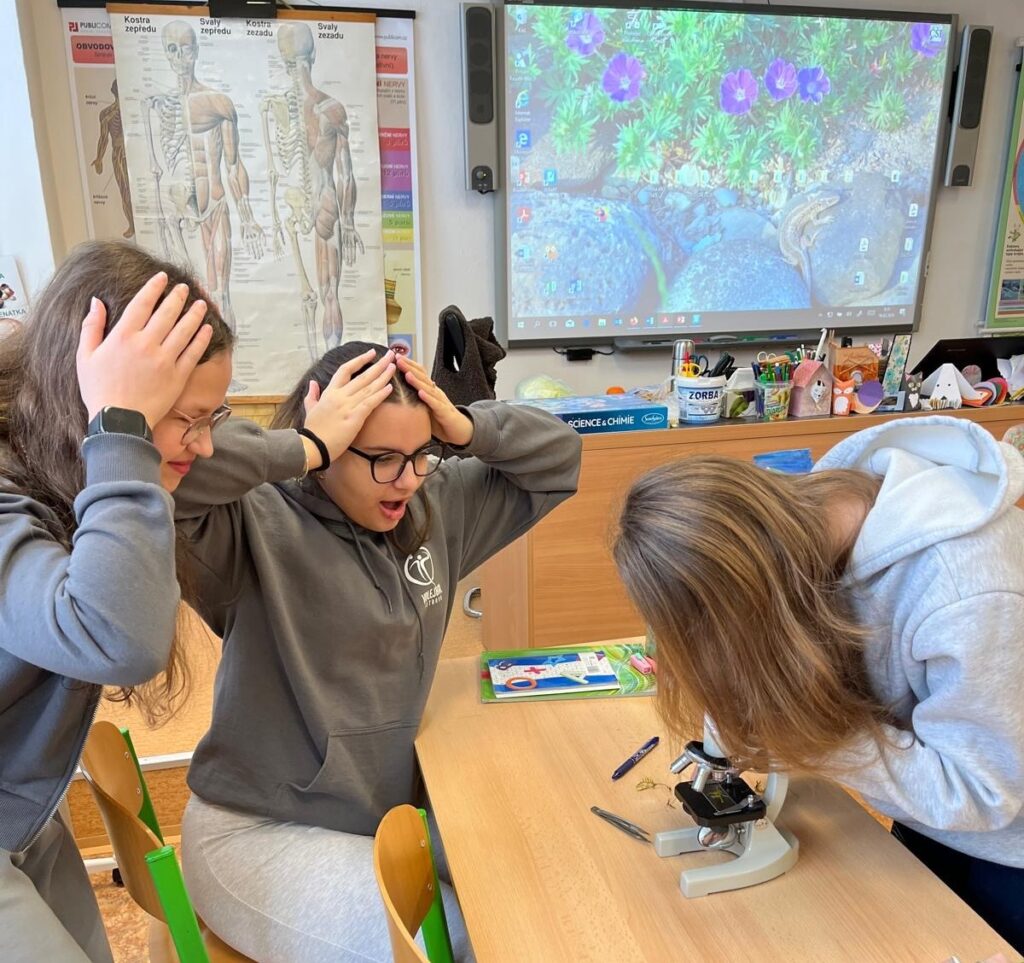 Metody aktivního učení