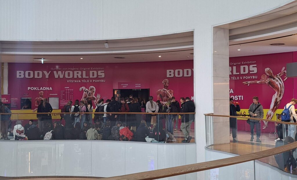 Exkurze „BODY WORLDS“ Praha