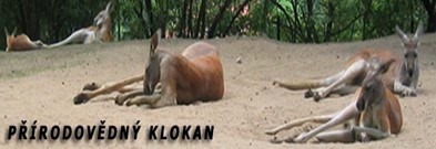 PŘÍRODOVĚDNÝ KLOKAN 2026/27
